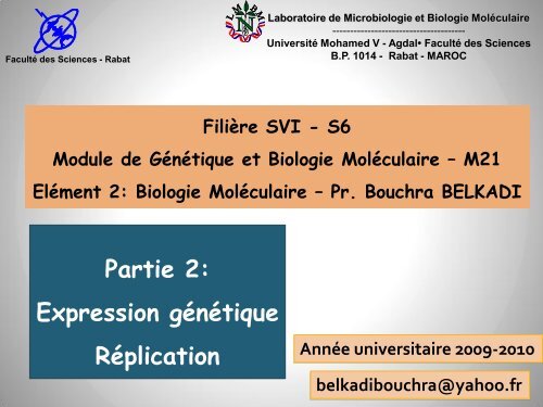 Réplication - Faculté des Sciences Rabat