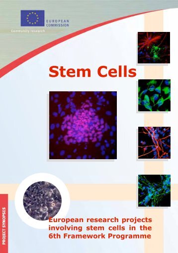 European research projects involving stem cells - Europa