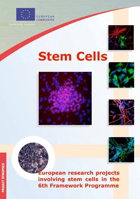 European Research Projects Involving Stem Cells Europa