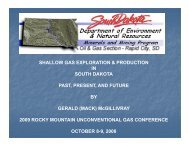 SHALLOW GAS EXPLORATION & PRODUCTION IN SOUTH ...