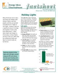 Holiday Lights Factsheet