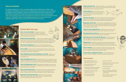 Download Brochure PDF - Florida Museum of Natural History ...