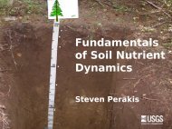 Fundamentals of Soil Nutrient Dynamics