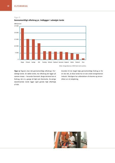 dansk elforsyning statistik I 2006