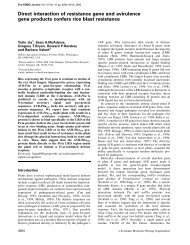 Direct interaction of resistance gene and avirulence gene products ...