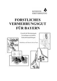 FORSTLICHES VERMEHRUNGSGUT FÜR BAYERN