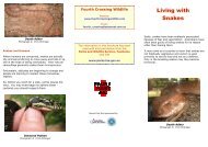 Living with Snakes brochure - Fourth Crossing Wildlife