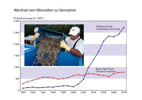Entwicklung der globalen Aquakultur bis zum ... - Fischmagazin.de