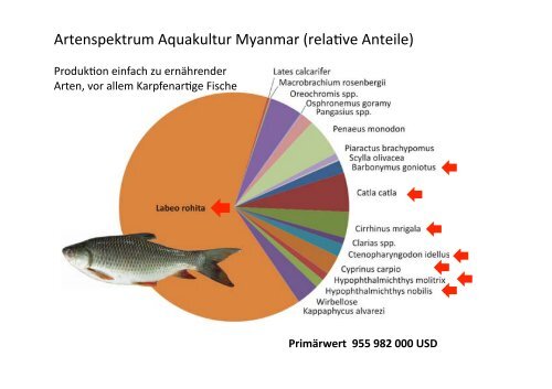 Entwicklung der globalen Aquakultur bis zum ... - Fischmagazin.de