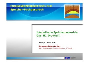 Gerling_BGR_030310.pdf - Forum Netzintegration Erneuerbare Energien