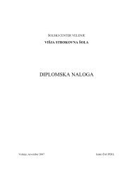 DIPLOMSKA NALOGA - Lea