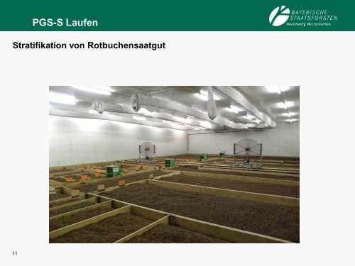 Saatgutbehandlung von der Ernte bis zur Aussaat - Bayern