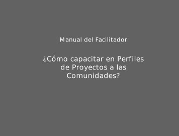 Manual perfiles de proyectos