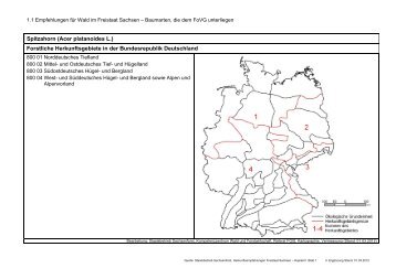 Spitzahorn (Acer platanoides L.) - Wald, Forstwirtschaft, Jagd ...