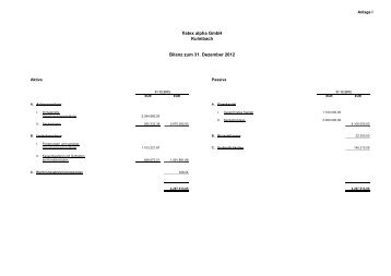flatex alpha GmbH Kulmbach Bilanz zum 31 ... - flatex Holding AG