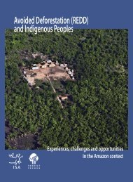 Avoided Deforestation (REDD) and Indigenous ... - Amazon Fund