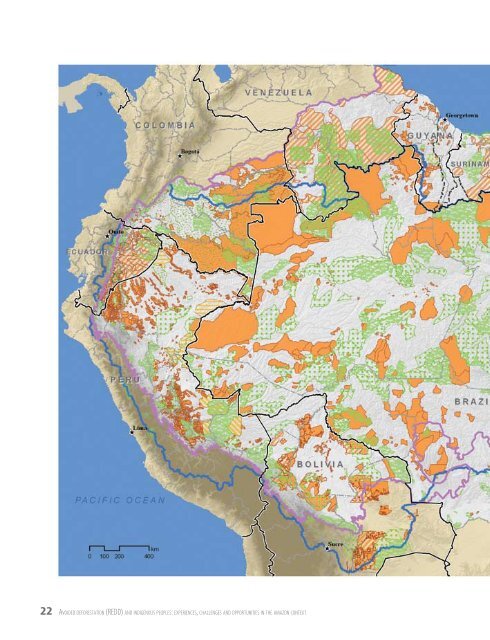 Avoided Deforestation (REDD) and Indigenous ... - Amazon Fund