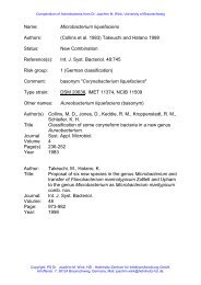 Name: Microbacterium liquefaciens Authors: (Collins et al ... - DSMZ