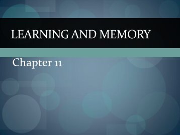 LEARNING AND MEMORY