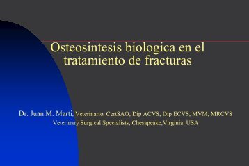 Osteosintesis biologica en el tratamiento de fracturas