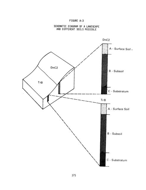 On-Site Wastewater Treatment and Disposal Systems - Forced ...