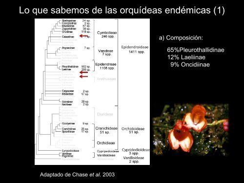 Patrones de endemismo de orquídeas ecuatorianas