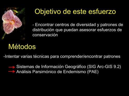 Patrones de endemismo de orquídeas ecuatorianas