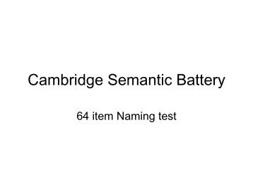 Cambridge Semantic Battery