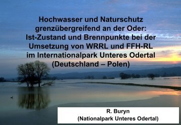 Hochwasser und Naturschutz grenzübergreifend an der Oder: Ist ...