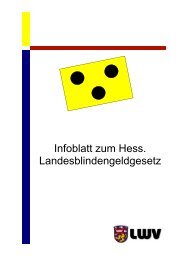 Infoblatt zum Hess. Landesblindengeldgesetz, Acrobat/pdf 58 kB