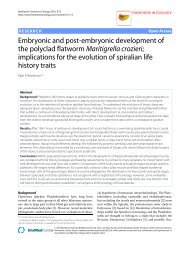 Embryonic and post-embryonic development of the ... - BioMed Central