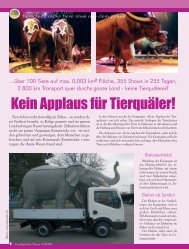 Freiheit für Tiere 4-2008 01-08-2008 Druck.qxd - Magazin Freiheit ...