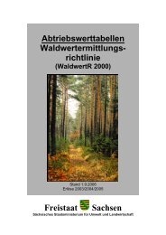 Abtriebswerttabellen 2006 [Download,*.pdf, 0,57 ... - Freistaat Sachsen