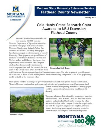 Flathead County Newsletter - Flathead County, Montana