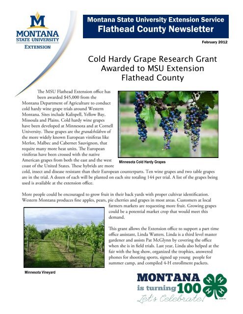 Flathead County Newsletter - Flathead County, Montana