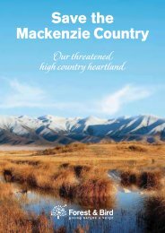 Save the Mackenzie Country - Forest and Bird