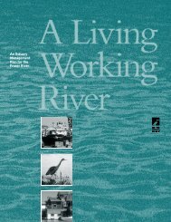 A Living Working River - the BIEAP and FREMP Website