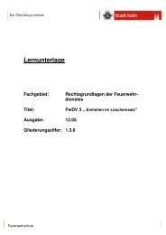 1.3.6 Lernunterlage FwDV 3.pdf