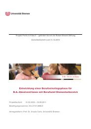 Zwischenbericht zum Projekt Berufseinstiegsphase - Lehreinheit ...