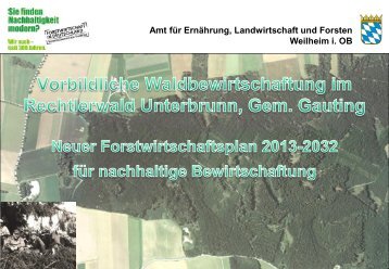 Amt für Ernährung, Landwirtschaft und Forsten Weilheim i ... - Gauting