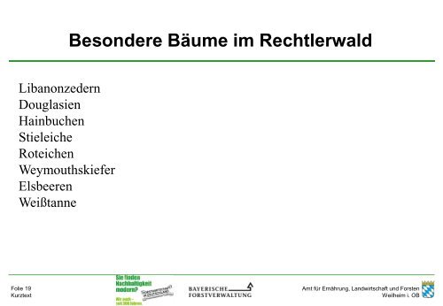 Amt für Ernährung, Landwirtschaft und Forsten Weilheim i ... - Gauting