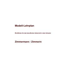 Lehrplan Zimmermann, Zimmerin herunterladen / lesen