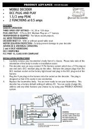 DCC20 Instructions.pub - Gaugemaster.com