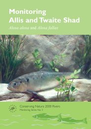 Monitoring Allis and Twaite Shad - European Commission