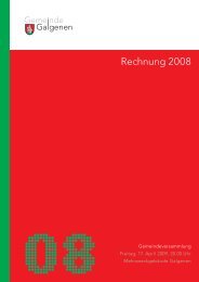 Rechnung 2008 [PDF, 395 KB] - Galgenen