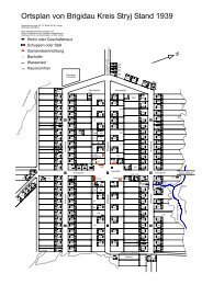 Ortsplan von Brigidau / Galizien - Galizien German Descendants