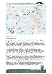 Turskidåkning Ramundberget-Fjällnäs