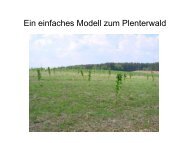 Ein einfaches Modell zum Plenterwald - FWL