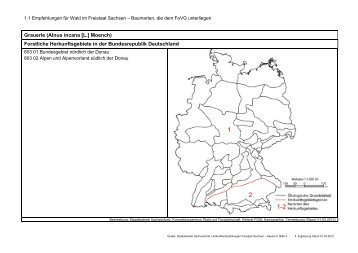 Grauerle (Alnus incana [L.] Moench) - Wald, Forstwirtschaft, Jagd ...