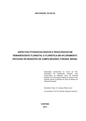 Dissertação em PDF - departamento de engenharia florestal - ufpr ...